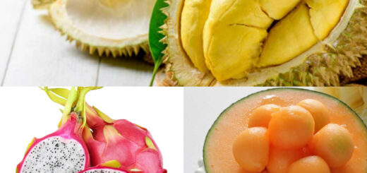 World's most expensive fruits
