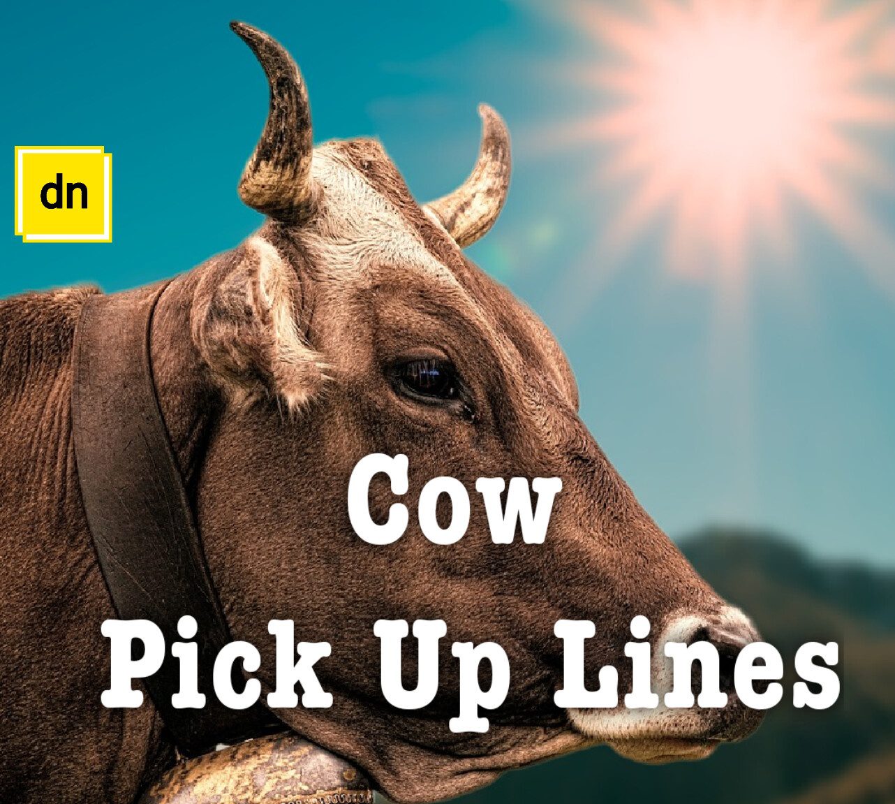 Cow pick up line