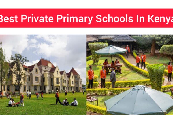 Best Kenyan private primary schools