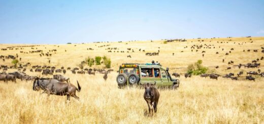 Destinations in Kenya