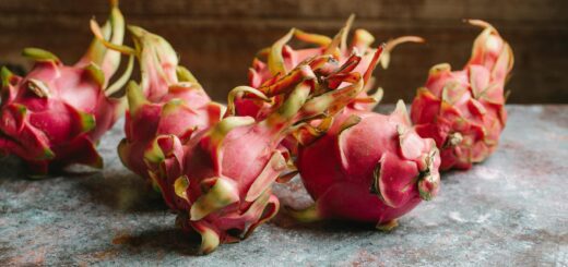 Dragon fruit farming in Kenya